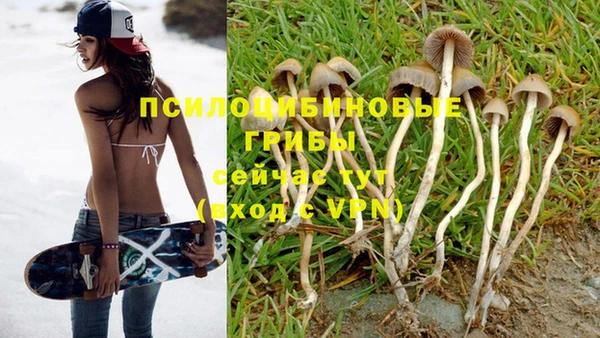 МДПВ Бугульма