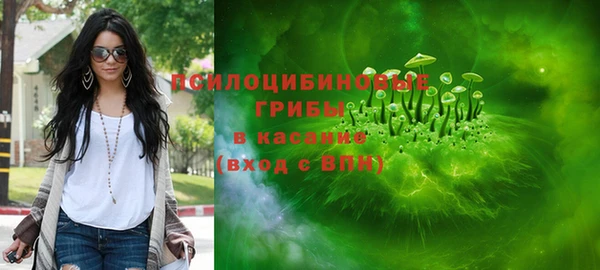 МДПВ Бугульма