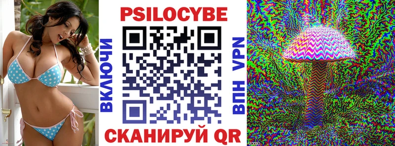Купить где  Донской  Псилоцибиновые грибы Psilocybe 